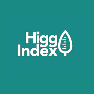 Higg FEM & FSLM Verification