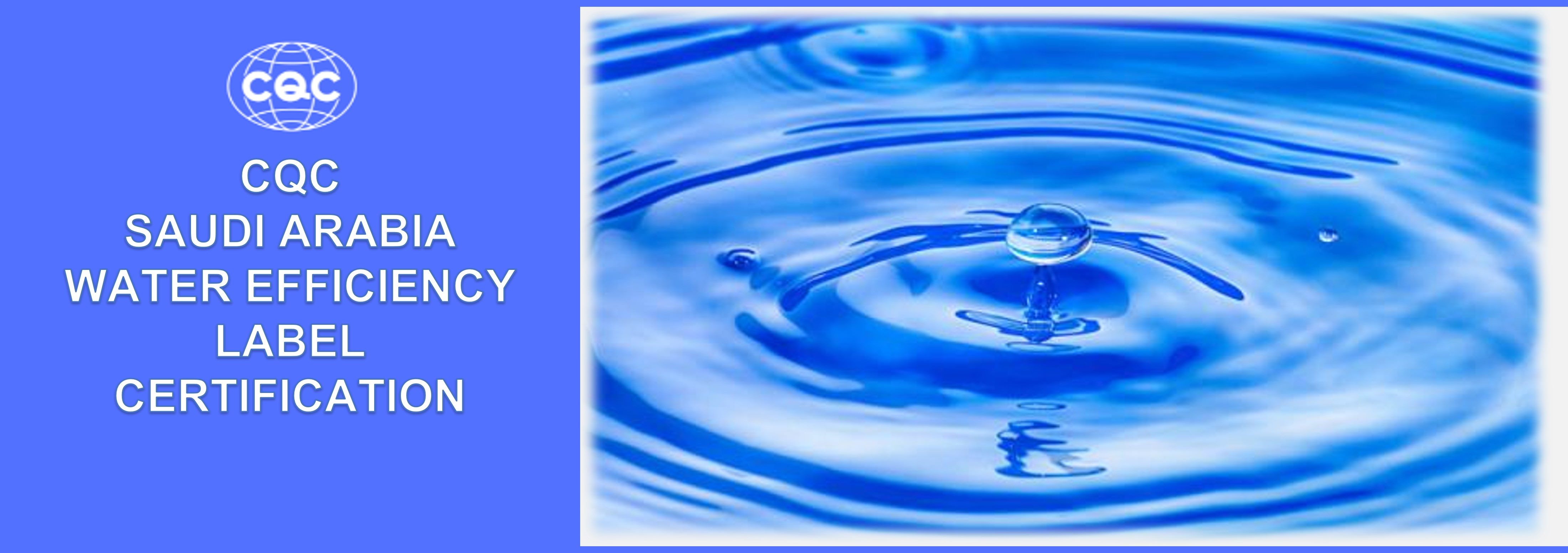 Saudi Water Efficiency WRL